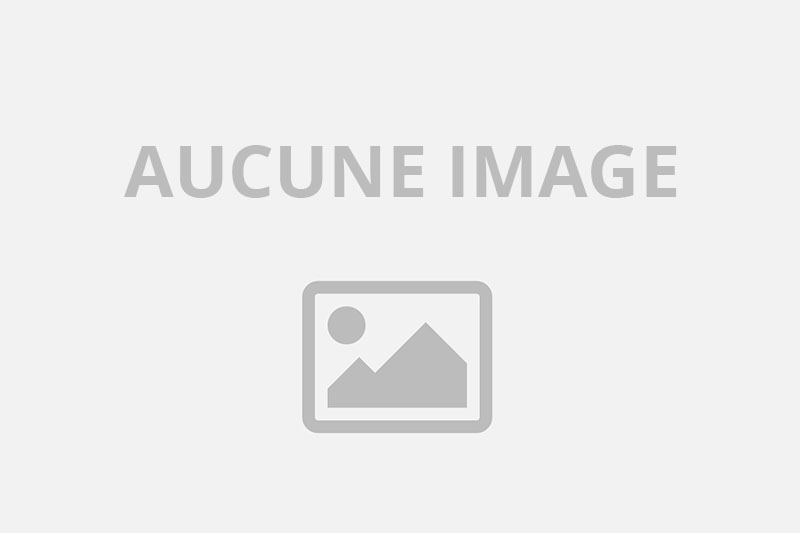 Massage professionnel